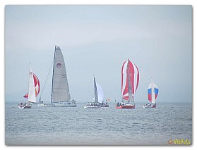 Regata_07.2017 (41)